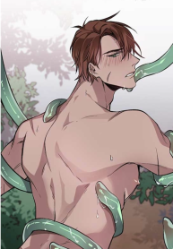 Erotic knights