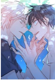 Summer Boys